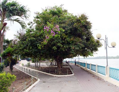 Công viên ở thị trấn Trà Ôn xanh mát hơn.  Tuy nhiên, tình trạng lấn chiếm lòng lề đường vẫn còn.