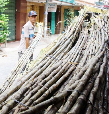 Mỗi ngày chú Hiệp bán ra khoảng 20- 30 bó mía.