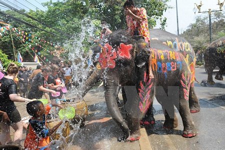 Những chú voi phun nước vào khách du lịch trong sự kiện được tổ chức nhằm chào đón lễ hội Songkran tại tỉnh Ayutthaya, Thái Lan ngày 11/4 vừa qua. (Ảnh: THX/TTXVN)