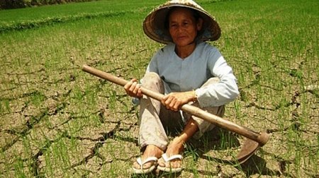 Hạn hán đang đe dọa nghiêm trọng đời sống nhân dân nhiều khu vực ở miền Nam