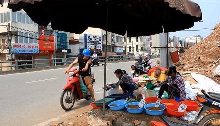 Trung bình, mỗi khách thường chỉ mua từ 1-2 lạng để làm thức ăn hàng ngày cho cá, chim cảnh hoặc gà chọi