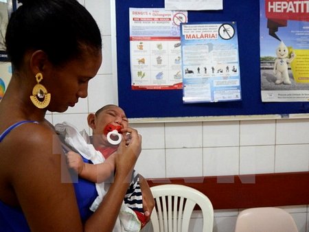 Một trẻ nhỏ bị mắc bệnh teo não do virus Zika gần Recife, thủ phủ Pernambuco, Đông Bắc Brazil. (Nguồn: THX/TTXVN)