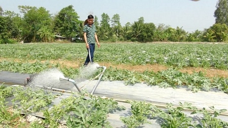 Em Nguyễn Phi Linh và chiếc máy tưới đa năng ở ruộng dưa hấu