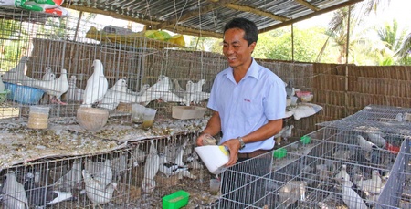 Anh Cường đã thành công với mô hình kinh tế tổng hợp của mình.