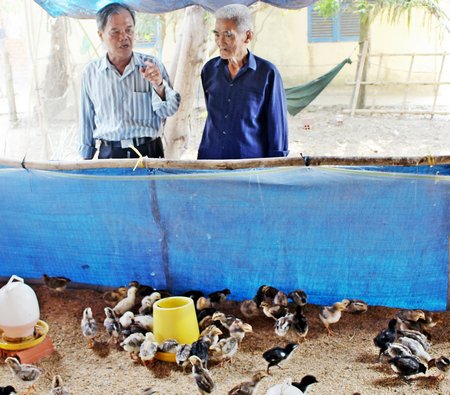 Lãnh đạo Hội Người tù kháng chiến tỉnh và huyện đến tham quan mô hình chăn nuôi của ông Thành (bìa phải). 