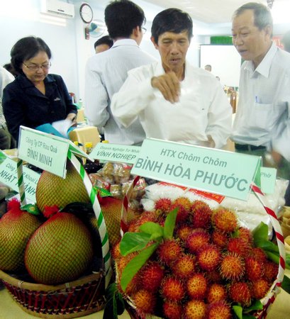 HTX Chôm chôm Bình Hòa Phước chú trọng hướng sản xuất hàng hóa xanh, sạch và an toàn.