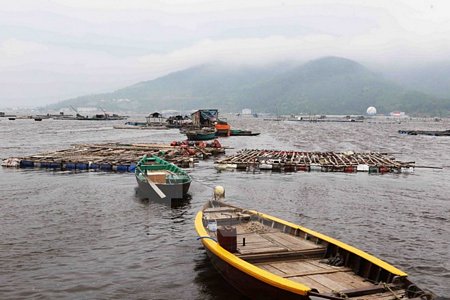 Người dân Đà Nẵng nuôi thả thuỷ sản tại khu vực gần cửa biển. (Ảnh: Trần Lê Lâm/TTXVN)