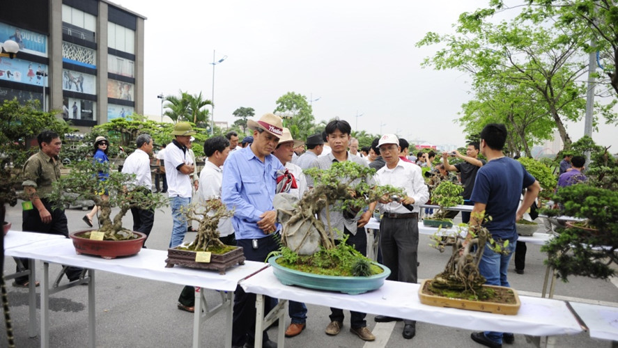 Diễn ra từ 27/4 đến hết 9/5 – Festival sinh vật cảnh Thủ đô lần thứ 1 quy tụ gần 20.000 tác phẩm cây, hoa, đá, gỗ lũa nghệ thuật từ hơn 1.000 nghệ nhân và các chủ vườn trên toàn quốc, mở ra một điểm đến độc đáo và hấp dẫn cho người dân trong dịp nghỉ lễ.  