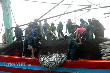 Tàu cá của ngư dân Quảng Bình đang đánh bắt ở vùng biển Hoàng Sa.