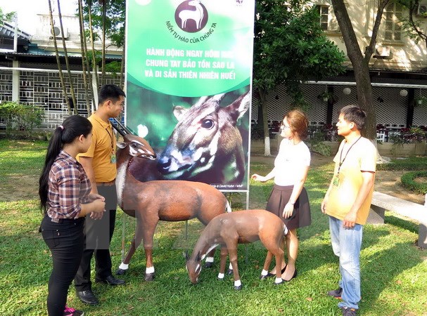 Người dân tham quan triển lãm. (Ảnh: Quốc Việt/TTXVN)