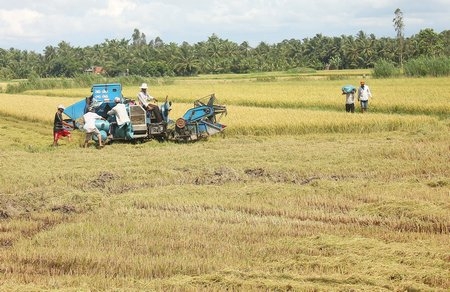 Xã An Phước phấn đấu sớm đạt chuẩn nông thôn mới vào giữa tháng 5/2016 (ảnh minh họa).