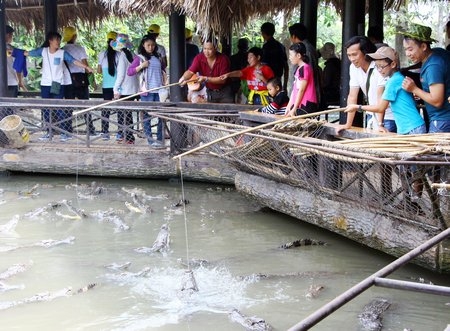 Câu cá sấu- trò chơi thú vị được nhiều du khách lựa chọn.