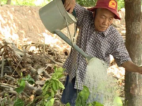 Thương binh Hồ Văn Suôl tuy mù mắt nhưng tâm sáng, ham lao động.