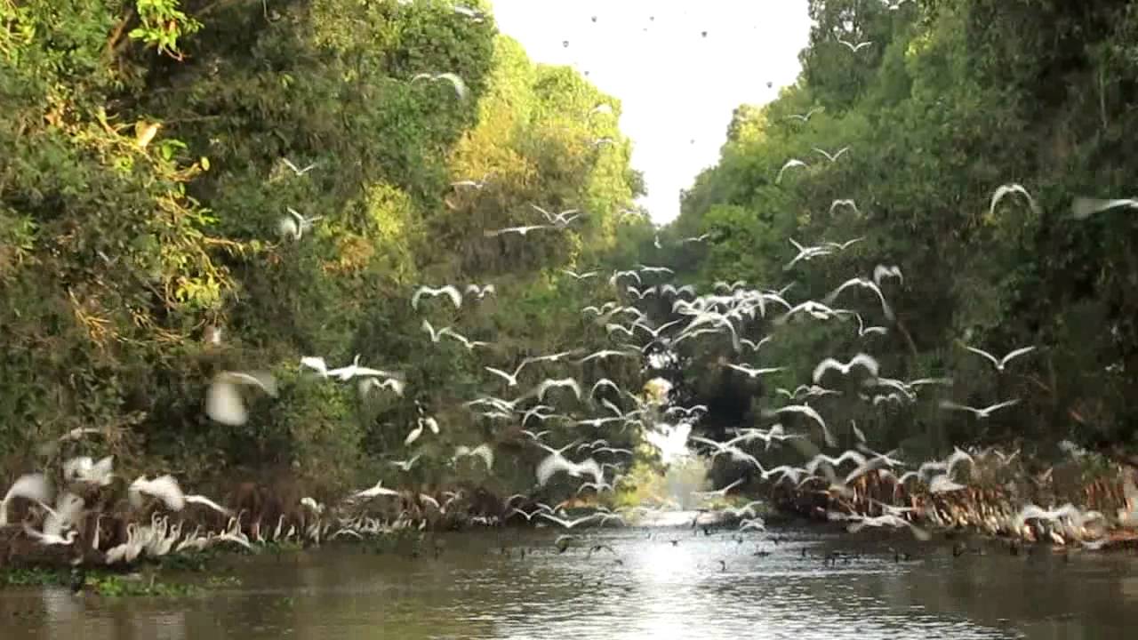 Tràm Chim - Tam Nông