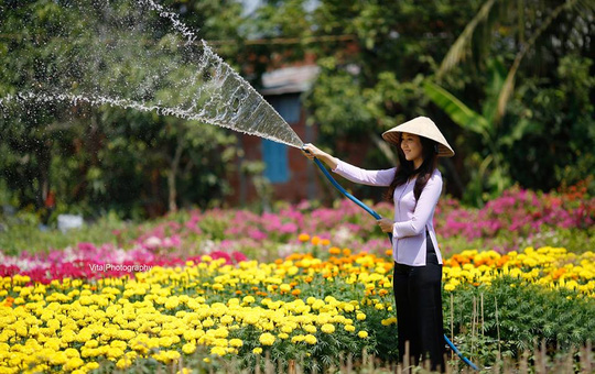 Làng hoa kiểu Sa Đéc