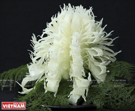 Hoa phù dung qua bàn tay cắt tỉa của thành viên lớp học Bình an điểm hẹn.