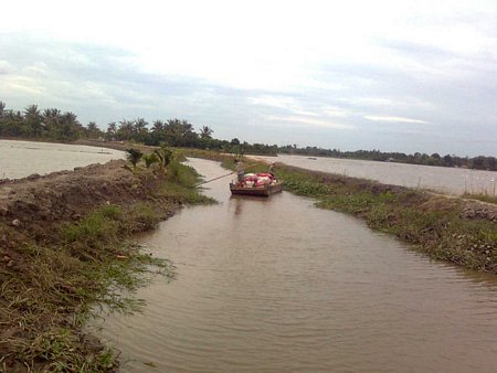 Tận dụng kinh, rạch ngoài đê bao làm hồ, làm nơi chứa nước ở vùng hạn, mặn.