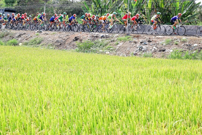 Các tay đua tranh tài qua cánh đồng lúa tại Cai Lậy (Tiền Giang).