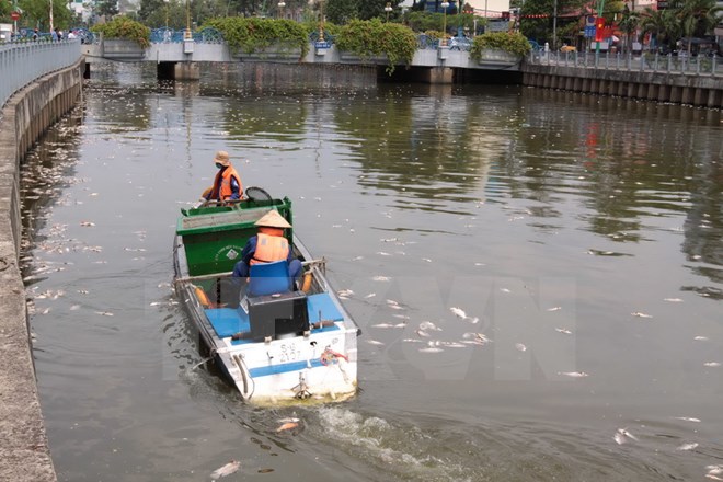 Các đội dịch vụ công ích của quận và thành phố tiến hành vớt cá chết để đảm bảo vệ sinh môi trường cho tuyến kênh Nhiêu Lộc-Thị Nghè. (Ảnh: Thanh Vũ/TTXVN)