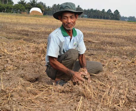 Mang Thít lần đầu bị nước mặn xâm nhập làm nhiều nông dân bất ngờ.