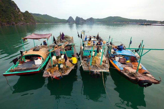 7. Vịnh Hạ Long, Việt Nam