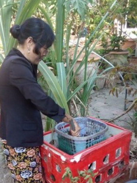 Phụ nữ vay vốn làm mô hình rau sạch tại nhà.