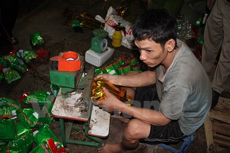 (Ảnh : Dương Chí Tưởng/Vietnam+)