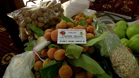 Huyện Lục Ngạn (Bắc Giang) là nơi sản xuất vải thiều lớn của cả nước.