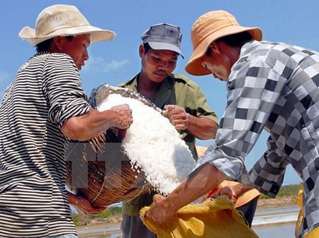 (Ảnh minh họa: Mạnh Linh/TTXVN)