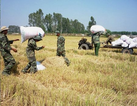  Lực lượng vũ trang thường xuyên tổ chức huấn luyện dã ngoại kết hợp giúp dân.