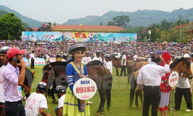  (Ảnh: Hồng Ninh/Vietnam+)