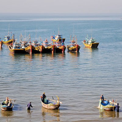  Cảng cá Phan Thiết