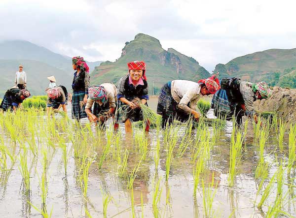 Bà con nông dân vùng cao vào mùa vụ mới