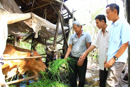 Thông qua vận động, đăng ký học và làm theo Bác, nhiều mô hình làm ăn có hiệu quả xuất hiện giúp người dân nâng cao thu nhập.