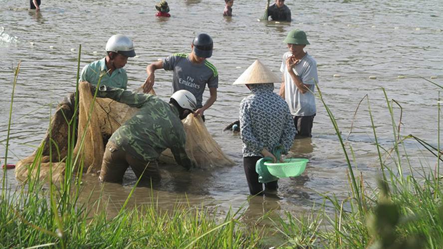 Dù dùng cả lưới vây nhưng vẫn rất khó để đánh bắt được cá tại đây.