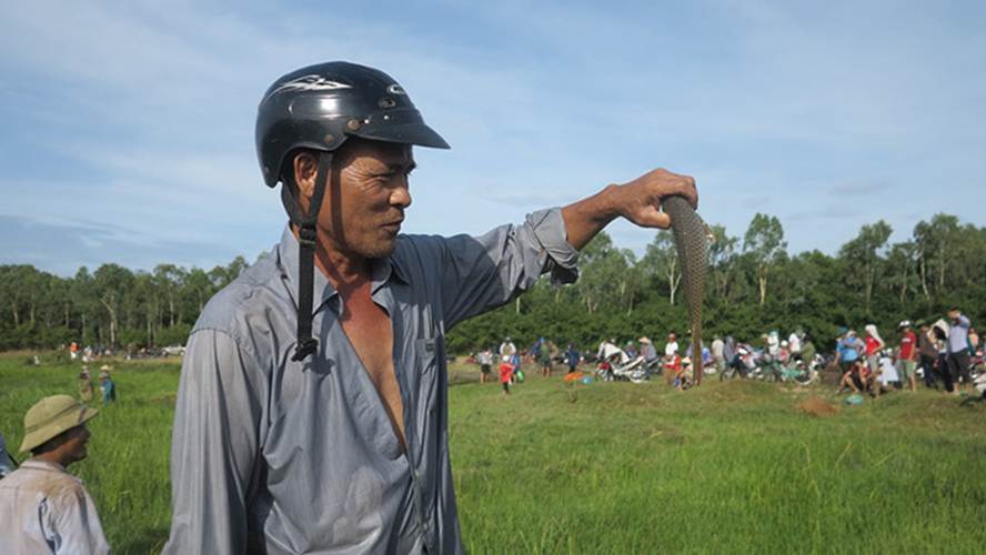 Đây là thành quả của người đàn ông sau gần 1h miệt mài dưới đầm nước.