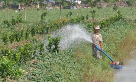 Nhiều nông dân đã ứng dụng khoa học kỹ thuật để nâng cao hiệu quả sản xuất.