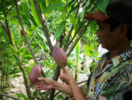 Nhiều mô hình khuyến nông được chuyển giao mang lại hiệu quả cao.