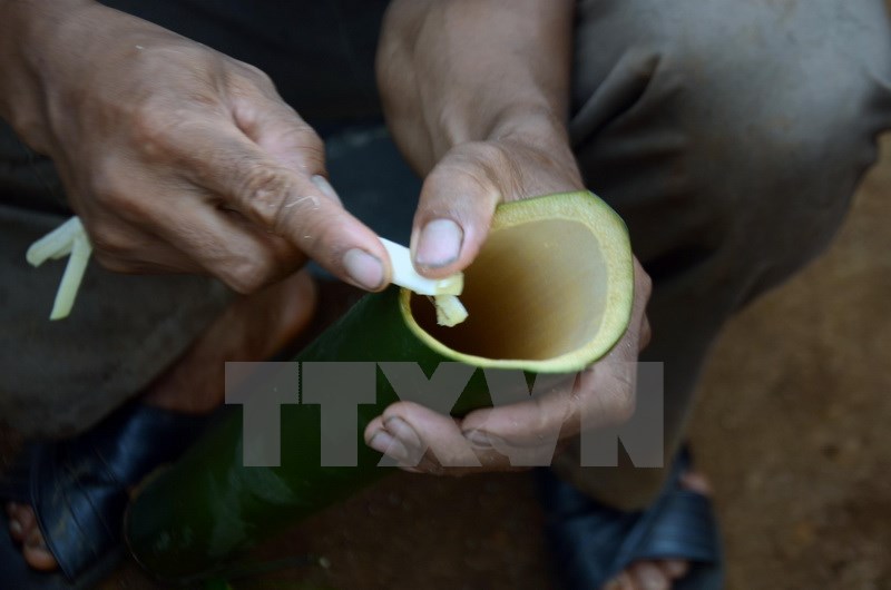 Nguyên liệu bao gồm các sản phẩm đặc trưng của núi rừng Tây nguyên như lá bép (rau nhíp), đọt mây, cá suối… (Ảnh: Hưng Thịnh/TTXVN)