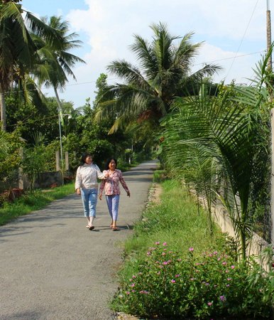 Nhờ thực hiện công trình hợp lòng dân mà giờ đường sá trong ấp thuận tiện, cây xanh, đèn sáng tận nhà.