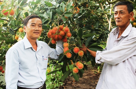 Làm tốt công tác dân vận chính quyền còn giúp nông dân nâng cao thu nhập, cải thiện đời sống.