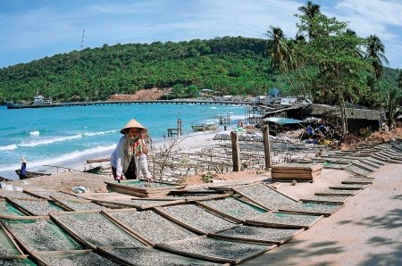 Ngư dân bình dị với nghề làm cá cơm trên đảo.