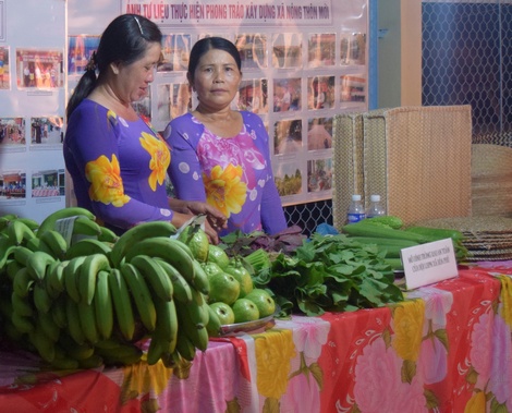 Nhiều mô hình sáng tạo trong sản xuất, nâng cao thu nhập lao động nông thôn của Hội LHPN xã Hòa Phú.