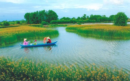 Bóng quê. Ảnh: NGUYỄN HOÀNG KHA