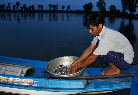 Hạn, mặn ảnh hưởng lớn đến sinh kế người dân.