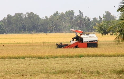 Cần có giải pháp thích ứng với biến đổi khí hậu trước mắt cũng như lâu dài.
