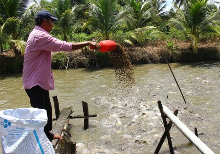 Với mô hình kinh tế tổng hợp, anh Hoàng Anh thu nhập hàng trăm triệu đồng/năm.