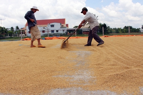 Tái cơ cấu nông nghiệp đã có những kết quả khá trên một số mặt.