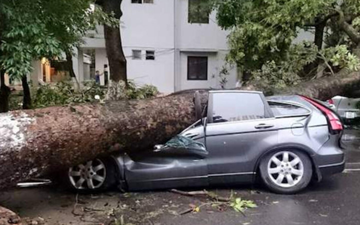 Cây cổ thụ đè xe bẹp dúm trong trận mưa bão