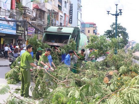 Công an thành phố Hà Nội tham gia dọn cành, lá cây sau bão. (Ảnh: Mạnh Khánh/TTXVN)